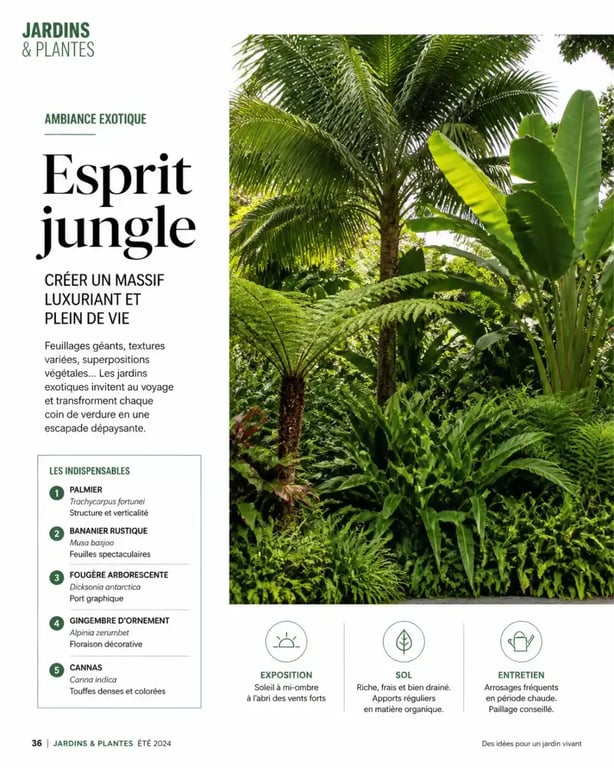 Idée massif avec palmier ambiance jardin exotique luxuriant